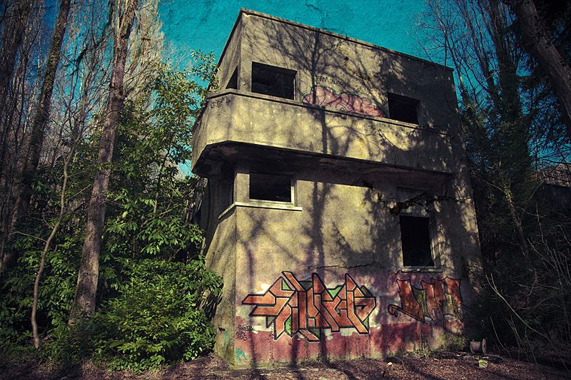 the house